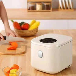 Small Rice Cooker ,2.5L Rice Cooker ,Removable Non-stick Pot, Keep Warm,Cooking Soup, Rice, Stews, Mini Cooking Pot Electric