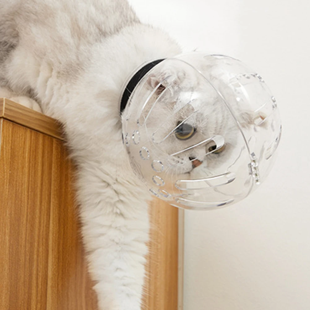 

Pet Cat Accessories Transparent Biting Prevention Headwear Breathable Mask ABS Grooming Recovery Post Surgery Anti