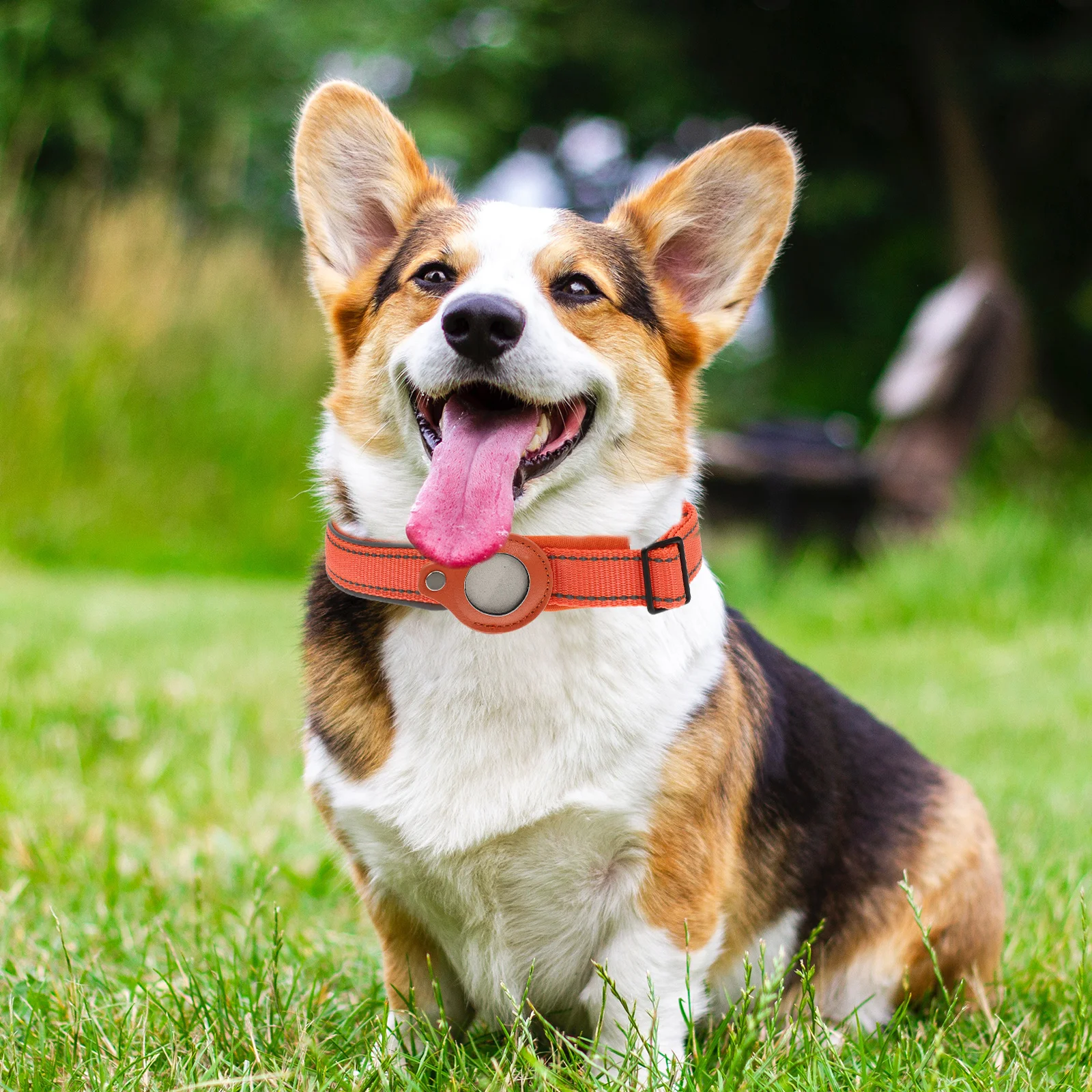 

Air Tag. Holder for Pet Tracer Positioning Collar Protective Case Nylon Fitness