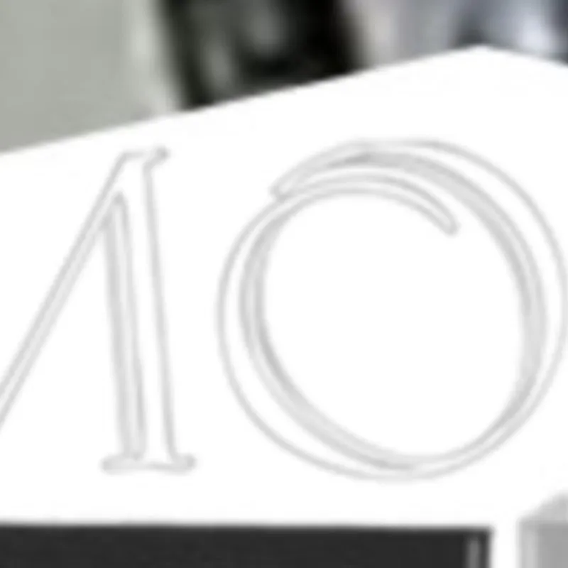 

FOR HONDA CR 125R 250R CR125R CR250R CR125 CR250 R 2000 2001 Motorcycle Radiator Grill Guard Protector Oil Cooler Grille Covers