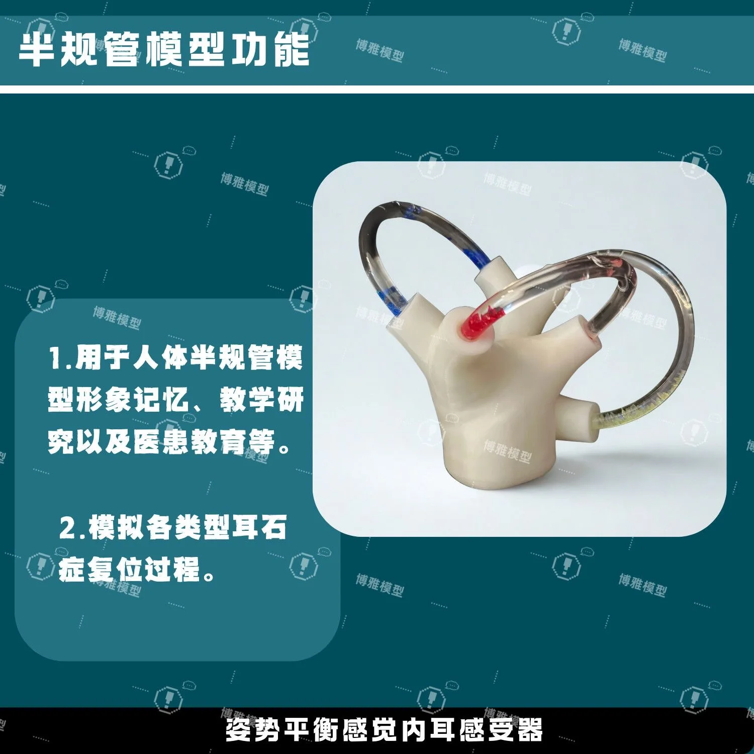 نموذج قناة نصف دائرية نموذج أوتوليث نموذج قناة نصف دائرية نموذج إعادة تحديد أوتوليث #5