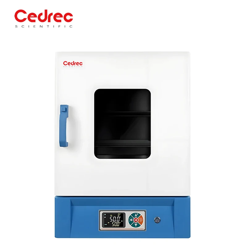 Vertical Nitrogen Filled Vacuum Drying Oven Electric 220V Simulated High Altitude Low Pressure For Test Chamber Battery Operated