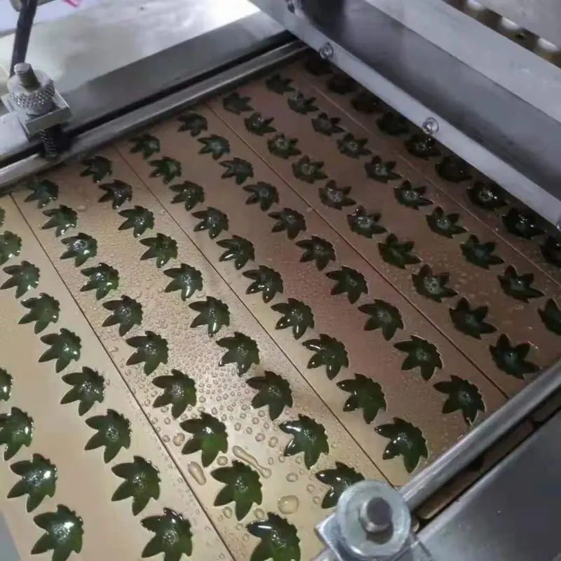 خط ماكينة صنع الحلوى الصلبة بسعر المصنع لجيلي البكتين فيتامين غائر الدب والزنجبيل ومعالجة الأطعمة الأخرى #4