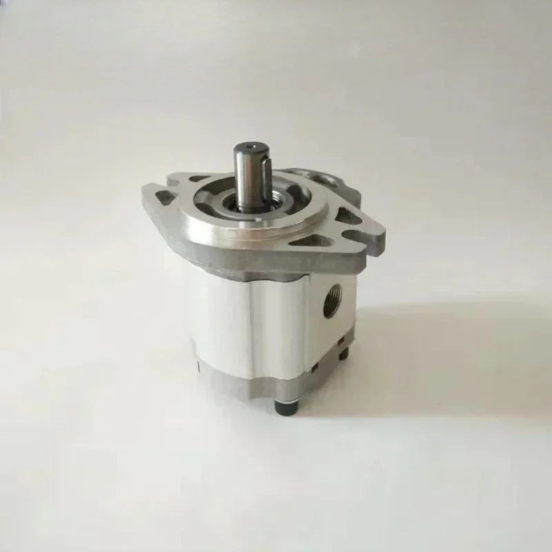 

Gear oil pump CBF-F410 F416 F432 F418 F420 F425 F440 F450-ALP ALPL