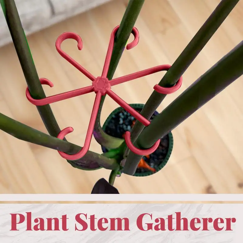 

Plant Support 4 Pcs Planting Support Grippers Vine Support Clips For Climbing Plants To Grow Upright And Make Healthier