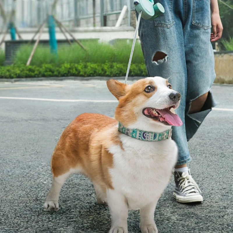 犬と猫のためのライト付き格納式ベルト,自動子犬と子猫の犬用アクセサリー,新しいコレクション
