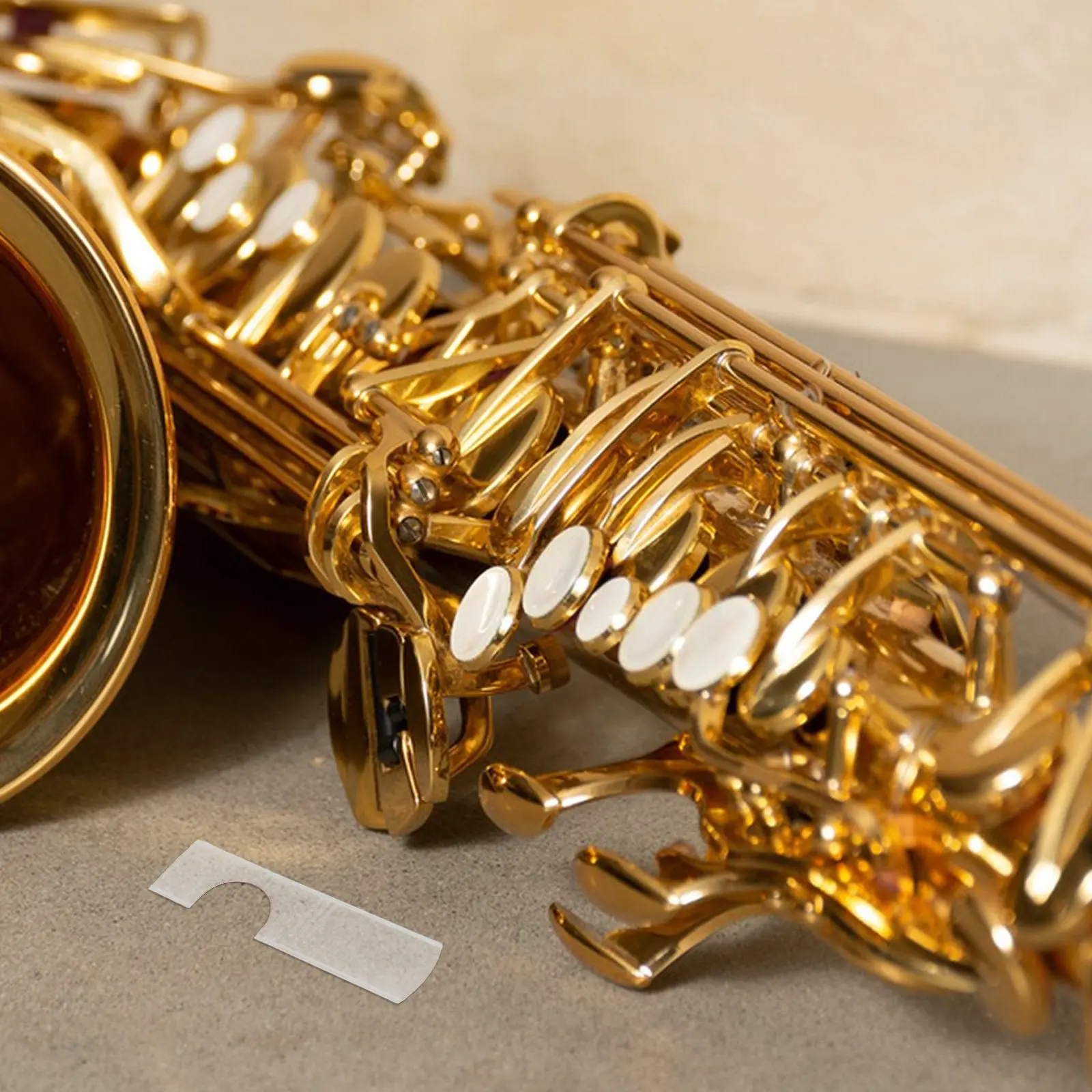 Compact Reed Case for Saxophone Clarinet Side Independent Compartments Keep Reeds Safe and Separate