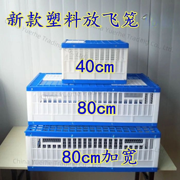 

Складная пластиковая клетка для транспортировки гоночных голубей 25-40 голубей, тренировочная клетка для голубей, клетка для соревнований по летанию