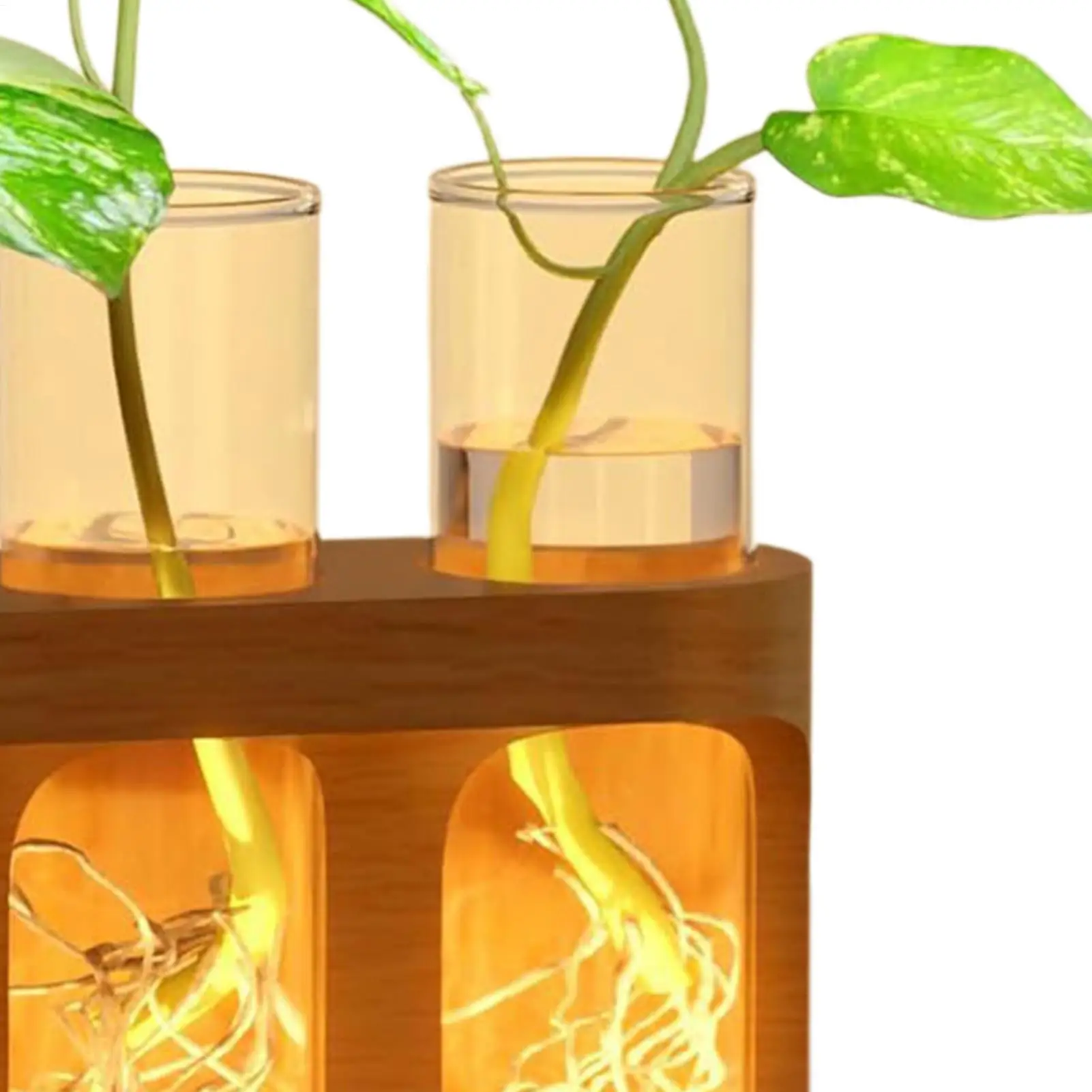 Plant Propagation Tube Decorative Hydroponic Terrarium With LED Lights Glass Planter Vase For Hydroponic Plants For Men Women