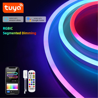 WS2811 Segmented Dimming TUYA Smart RGBIC Neon Strip Light DC24V Support Alexa Google Assistant Echo Plus APP Voice Control Fun