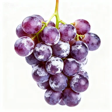 حافظة مفاتيح سيارة جلدية جديدة لسيارة فولكس فاجن فولكس فاجن جولف 8 MK8 ID.3 ID.4 كوبرا سكودا اوكتافيا A8 سيات ليون MK4 2020 2021 فورمينتور تاراكو #1