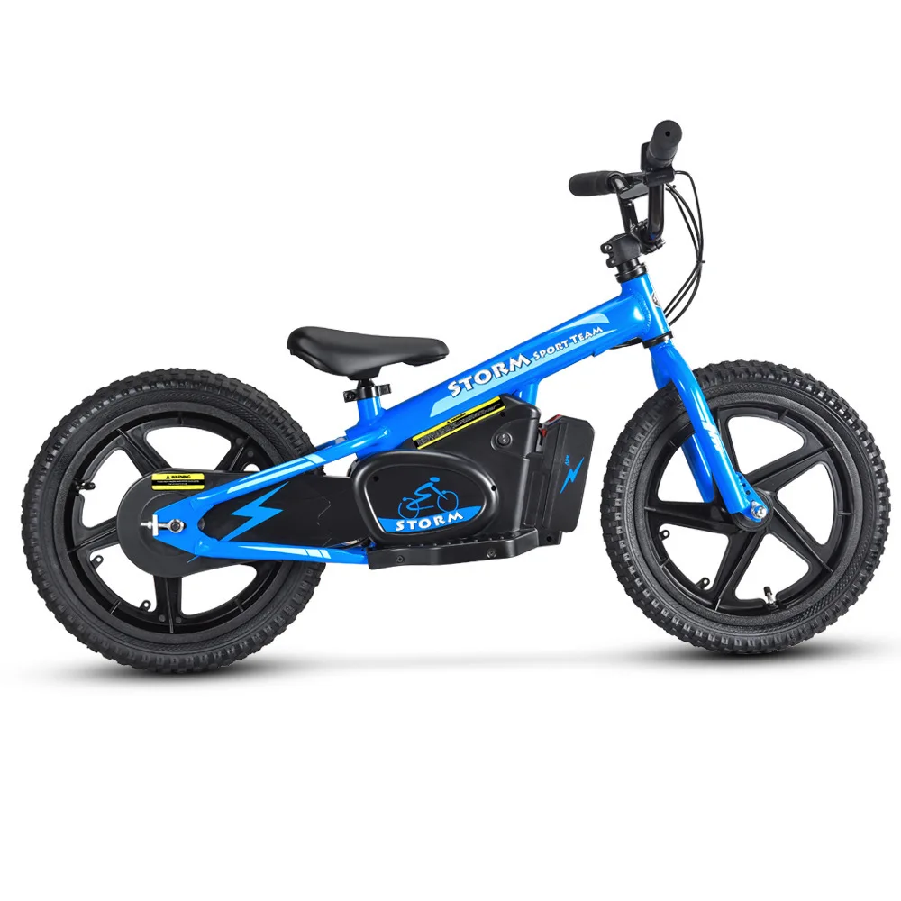 Factory Manufacture 16 -inch Children's Balanced Vehicle Children's Electric Bicycle 250W Children's Cycling
