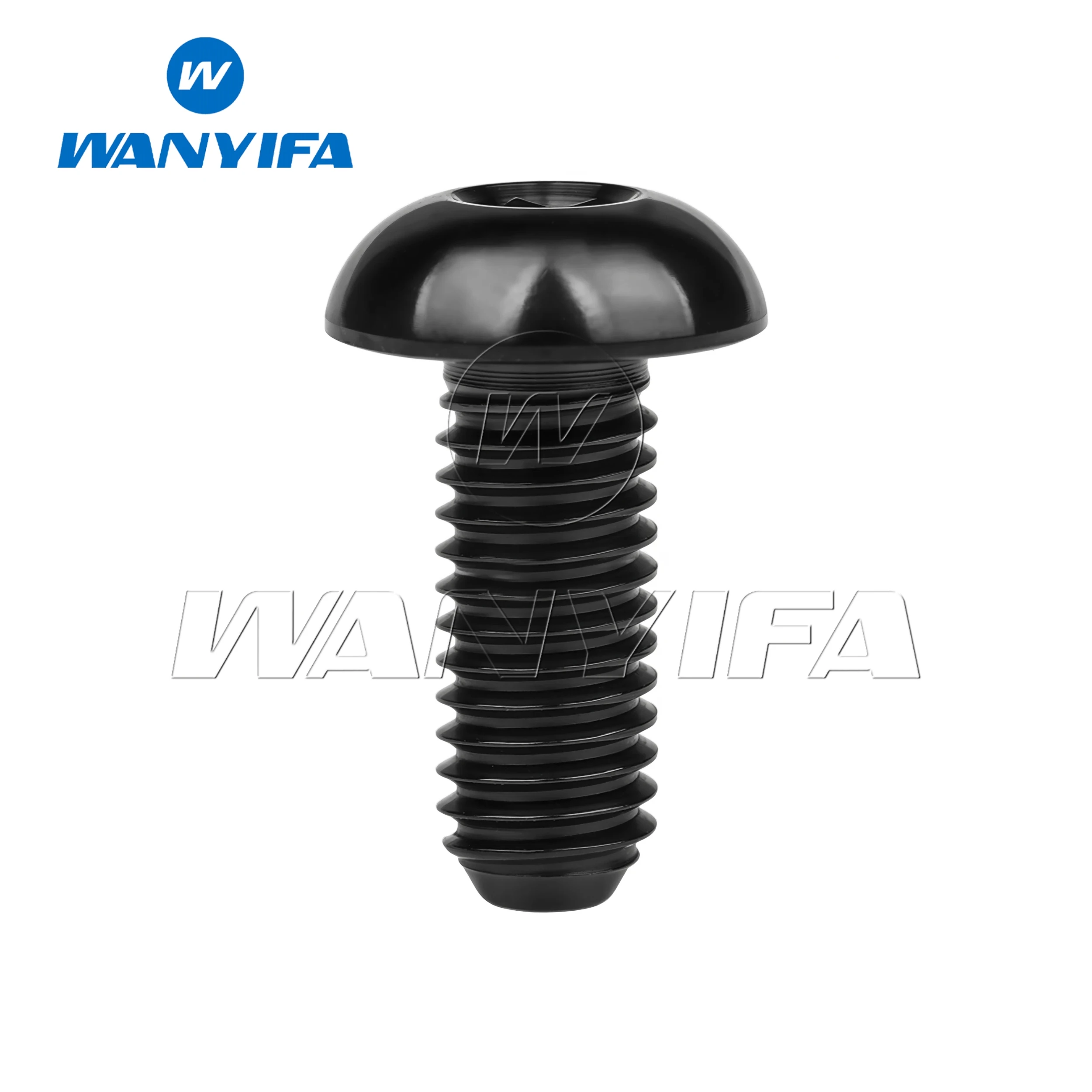 Wanyifa Titan-Ti-Schraube M5 x 8/10/12/15/18/20/25/30 mm runde Sechskant-Halbrundkopfschraube für Fahrrad-Flaschenhalter