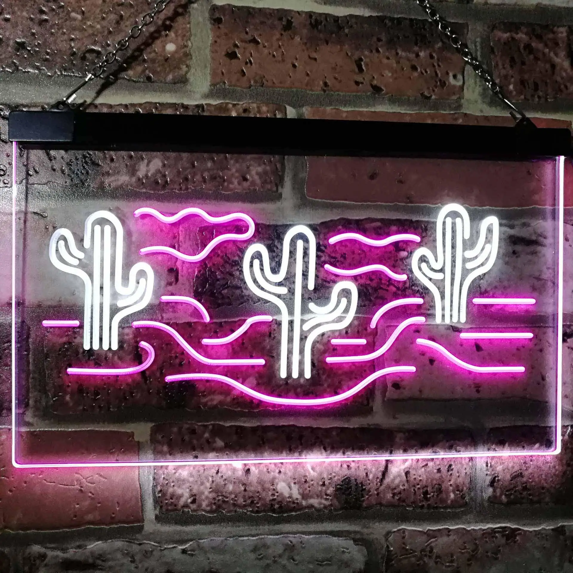 Desert Cactus Fun Game Room Dual Color Led Neon Sign st6-i3102