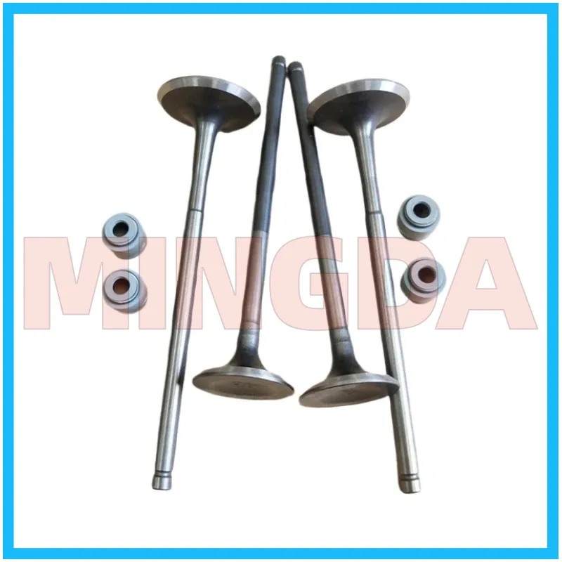 

Intake / Exhaust Valve / Oil Seal for Lifan Lf250-3r/3p/kp250 Nrf250 Water-cooled