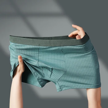남성용 코튼 복서 브리프, 섹시한 반바지, 캐릭터 스트라이프 팬티, 남성 속옷, 플러스 사이즈 L-4XL, 2 개/로트