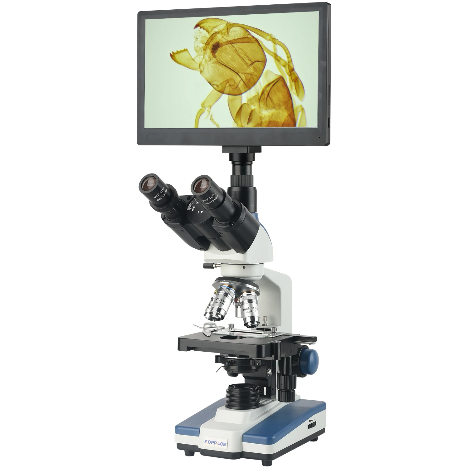 KOPPACE 40X-2500X Electron Compound Lab Microscope 2 Million Pixels 11.6 