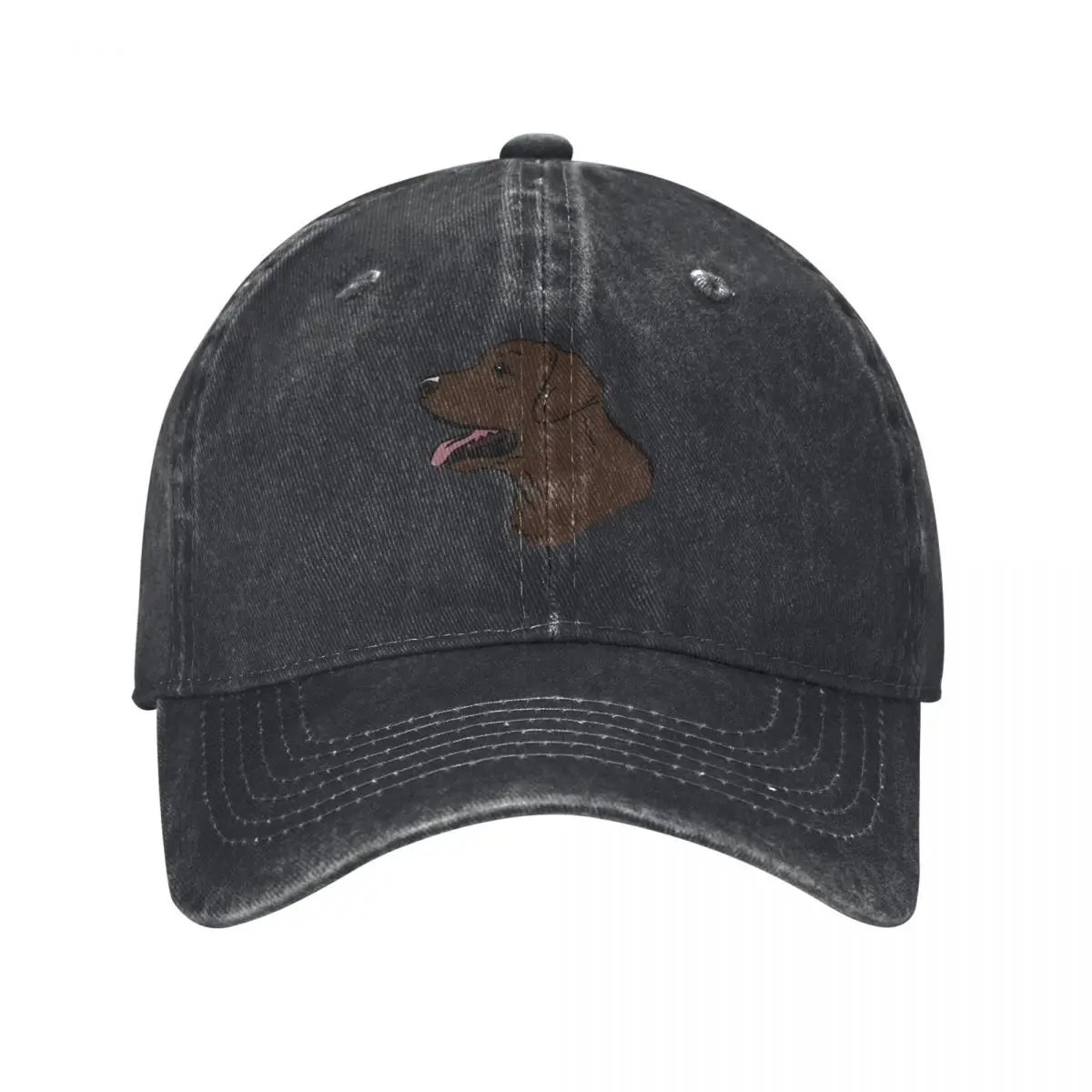 Chocolate Labrador Baseball Cap fashionable Christmas Hat Boy Child Women's