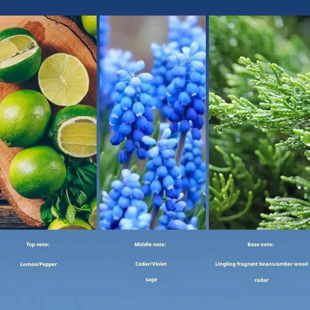 30 مل كولونيا عطر رجالي رذاذ يمزح فرمون طويل الأمد لا يقاوم المحيط فاكهي عطر خفيف شهم عطر #3