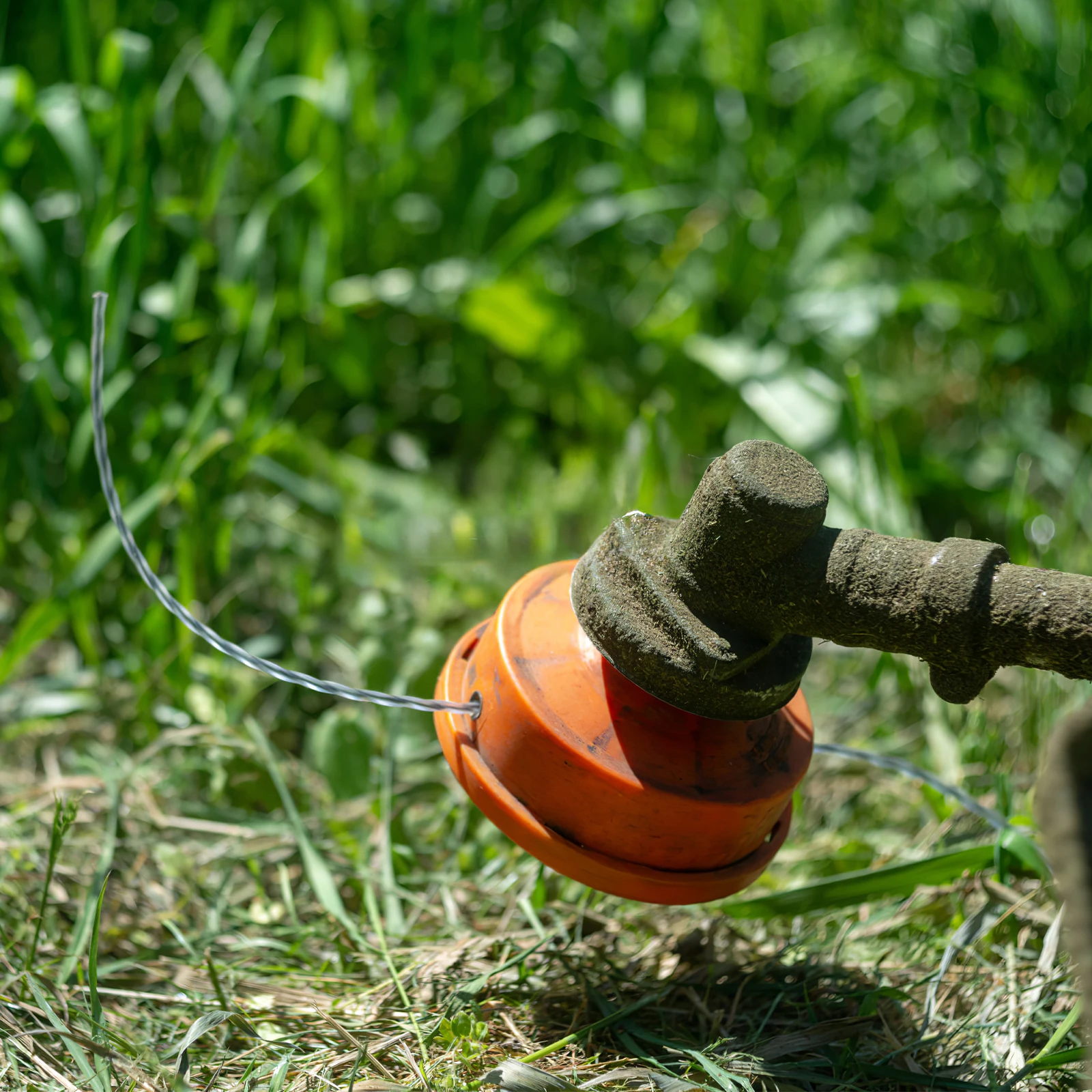 Straw Rope Steel Ribbon Wear-resistant Nylon Trimmer Line for Grass Cutting Tree Branches Mowing Line Garden Tools Accessories