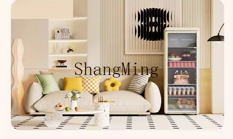 ZYY retro household small beverage refrigerator living room office refrigerator constant temperature