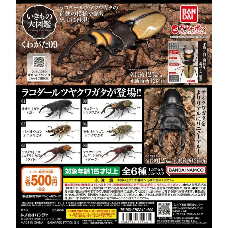 

Bandai Original 6Pcs Gashapon The Diversity of Life on Earth くわがた09 Toys For Kids Gift Collectible Model Ornaments