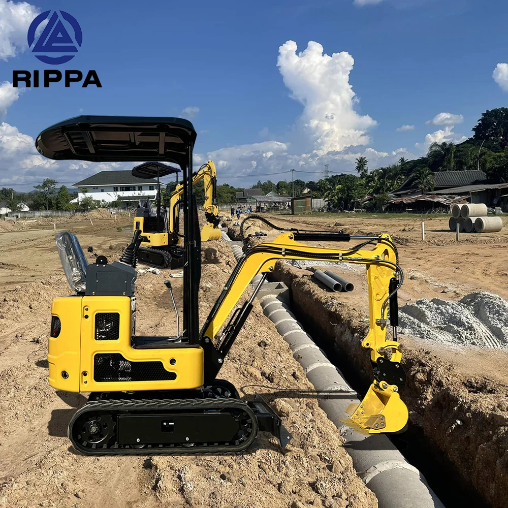2026 Rippa R319 EPA محرك حفارة آلات تحريك الأرض حفارة CE المعتمدة حفارة صغيرة للبيع #1