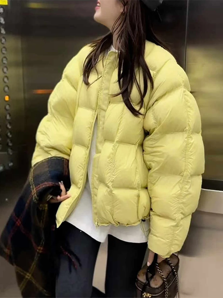 

Женская утепленная куртка-пуховик в корейском стиле, свободного кроя, из хлопка, зимняя новинка, с клетчатым дизайном, модная верхняя одежда