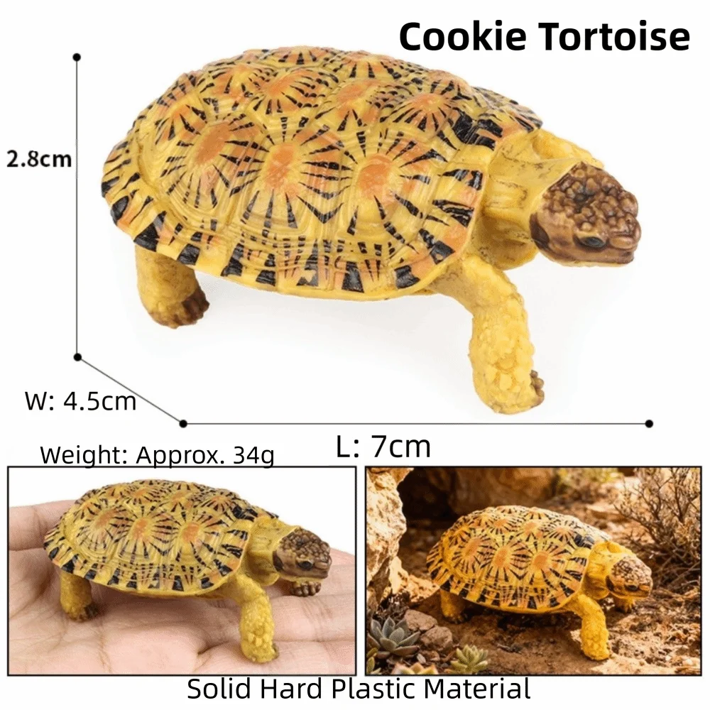 PVC Tortoise Figurines Model Figurines Animal Shape Geochelone Model Detailed Sculpture Action Figures Collection Display