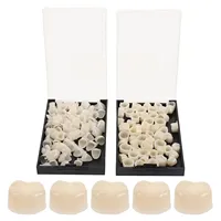 1 Box Dental Temporary Crown Porcelain Anterior Posterior Crowns Resin Teeth For Dentist Tools Dentistry Lab Material