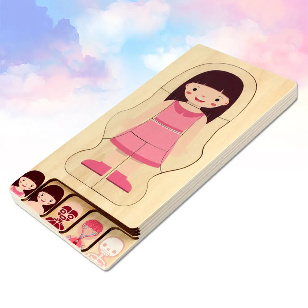 1Pcs Body Constitution Puzzle Wooden Multilayer Educational Puzzle for Kids Develops Hand Eye Coordination and Body Structure