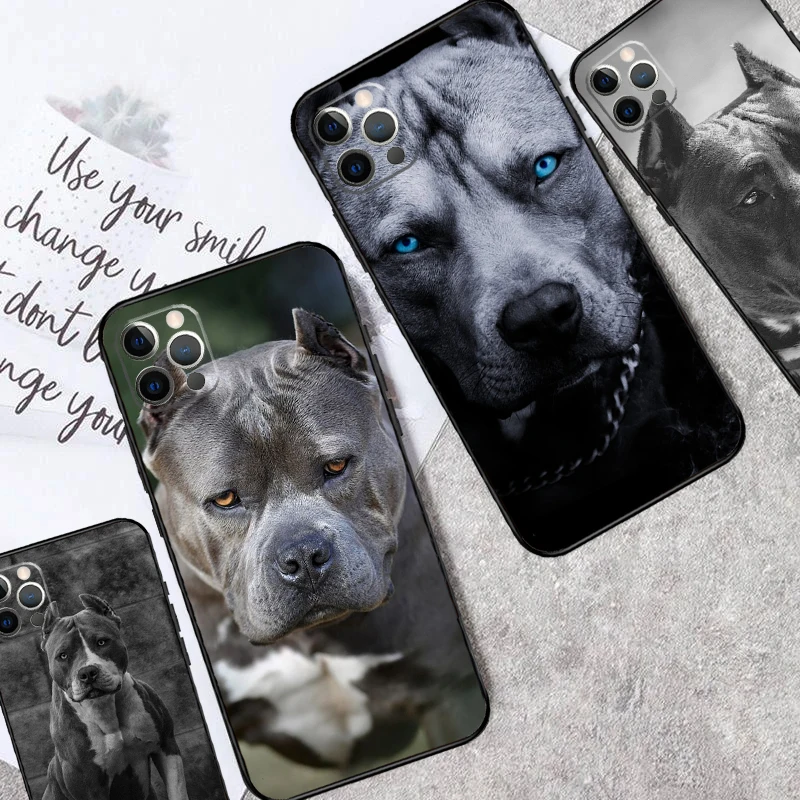 Etui na telefon Pit Bull Pitbull Dog do iPhone'a 13 14 15 16 Pro Max Plus 11 12 Pro Max 7 8 X XS XR 12 13 Mini Cover