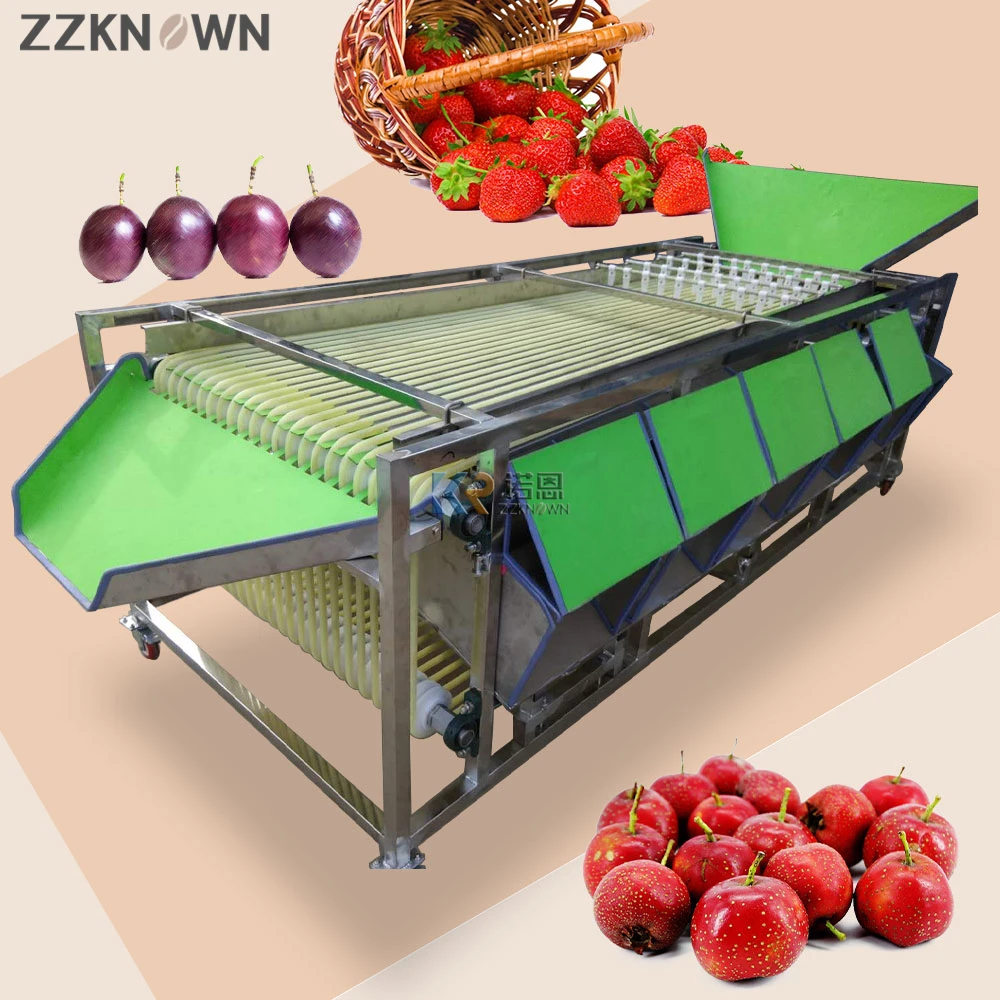 15 Channels Dates Sorting Machine Cherry Tomatoes Hawthorn Green Plum Bayberry Apricot Sorter Sorting Conveyor Grading Machine