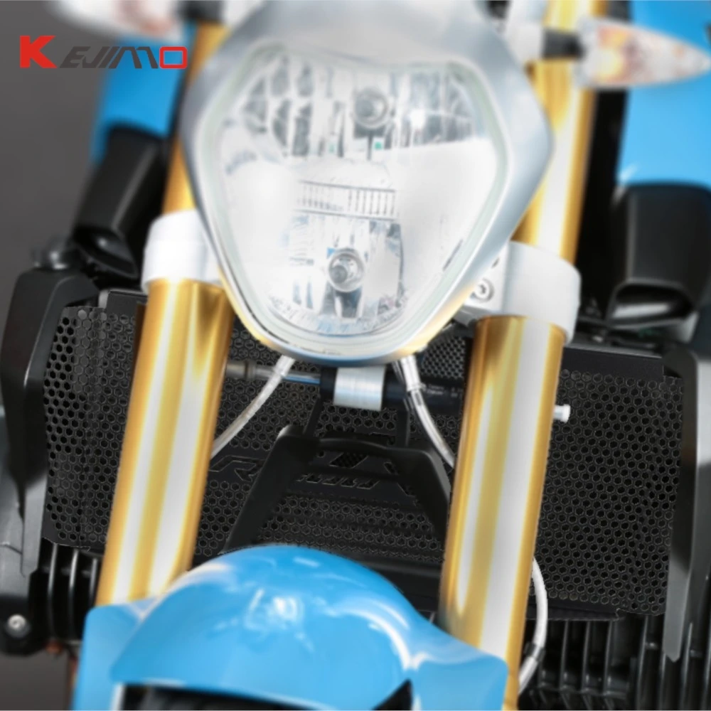 

For BMW R1250R Exclusive 2019 2020 2021 2022 2023 Motorcycle R 1250 R Sport 2024 R1250 RS Radiator Grille Guard Protector Cover