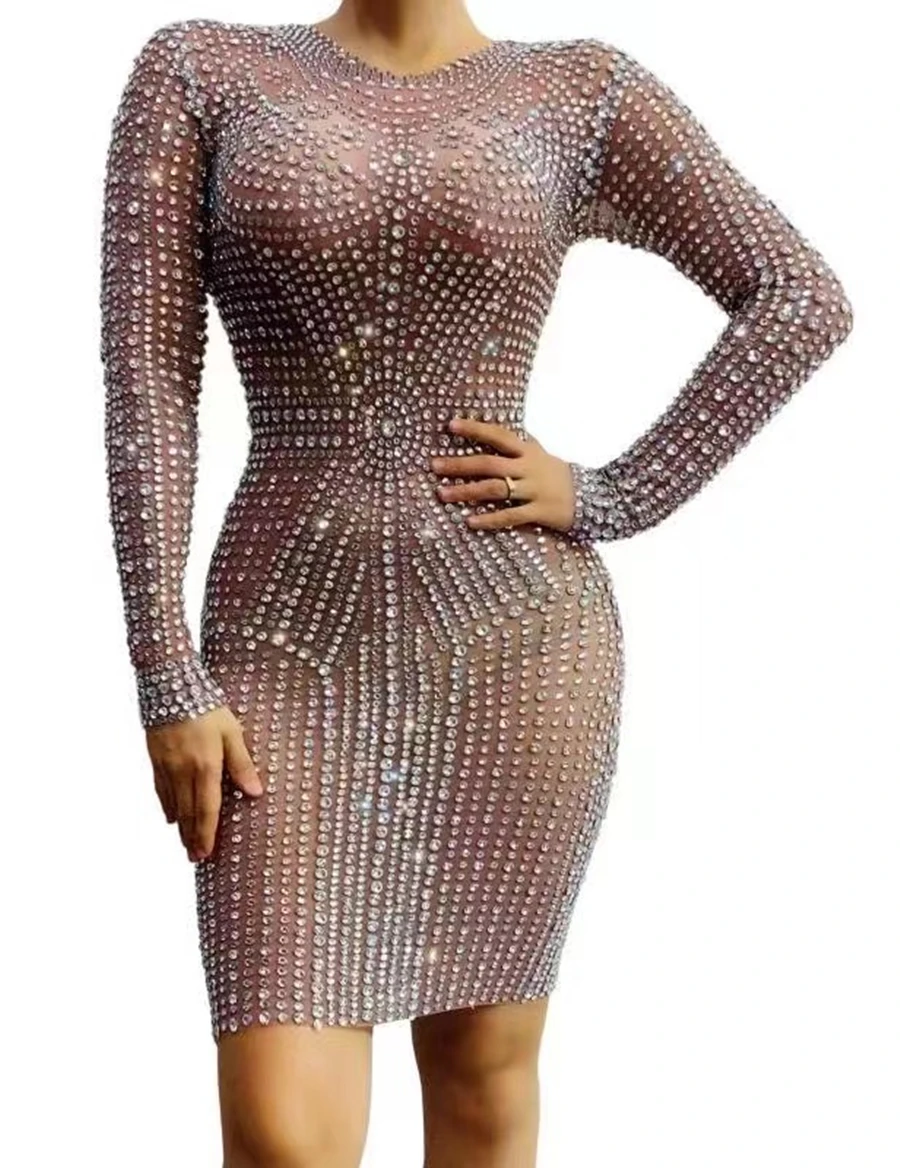 

WomenSilverRhinestonesTransparentBodysuitBirthdayCelebrateEvening CostumePromDancerLongSleevesNightclubOutfit