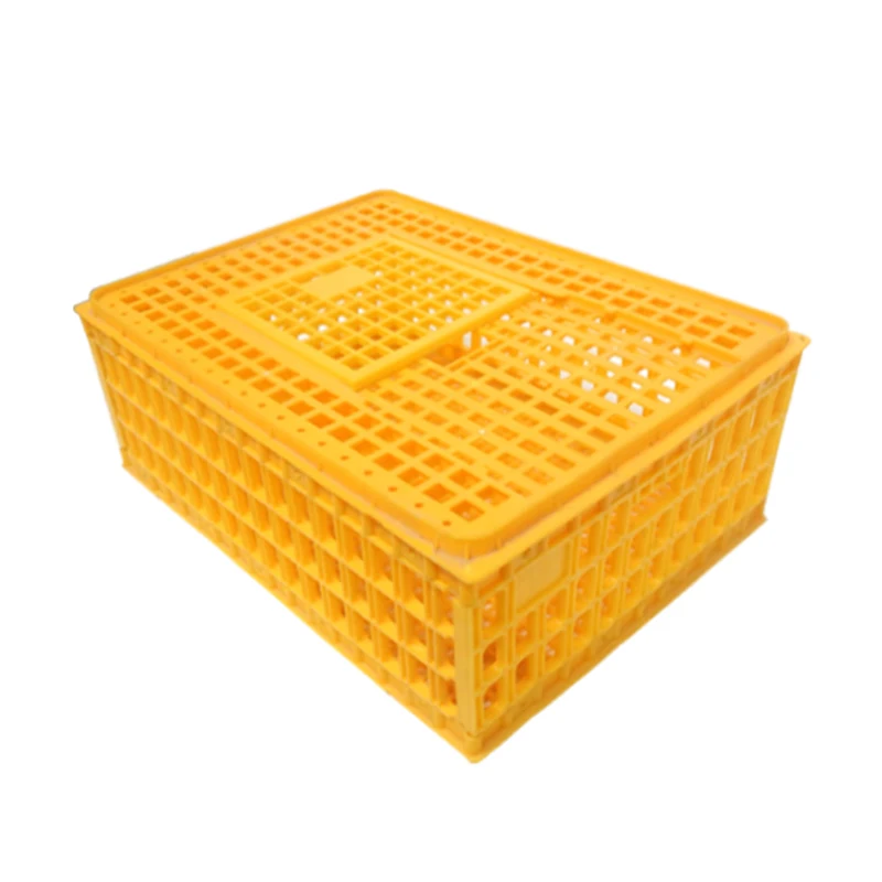 

Thickened Poultry Turnover Box for Chicken Duck Transport Box