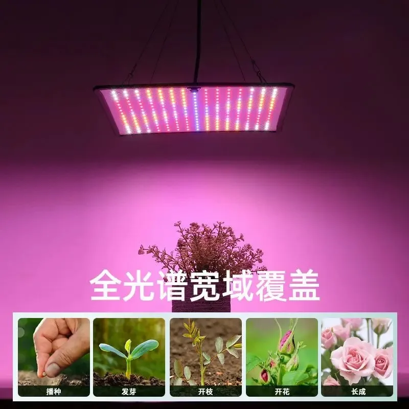 Full-spectrum LED quantum board plant fill light 1000W greenhouse succulent vegetable tent grow light suitable for succulents