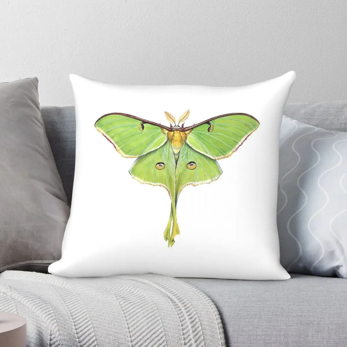 Male Luna Moth Pillowcase Polyester Linen Velvet Pattern Zip Decor Sofa Seater Cushion Cover 45x45
