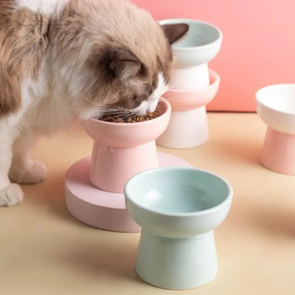 Thumbnail 3 - #20 Trending Elevated Cat Feeding Bowls Right Now
