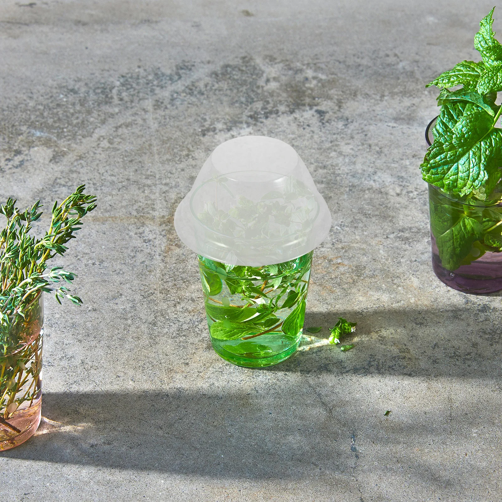 

100pcs Plant Dome Cover Thick Reusable Transparent Sprout Domes For Humidity Control Optimal Growth Environment Garden Cloche