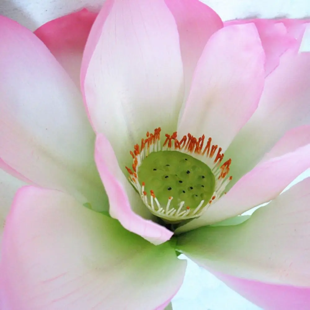 DIY Decoration Artificial Flower New Landscape Long Stem PU Green Plant Artificial Flower Pole Lotus Pod Artificial Lotus