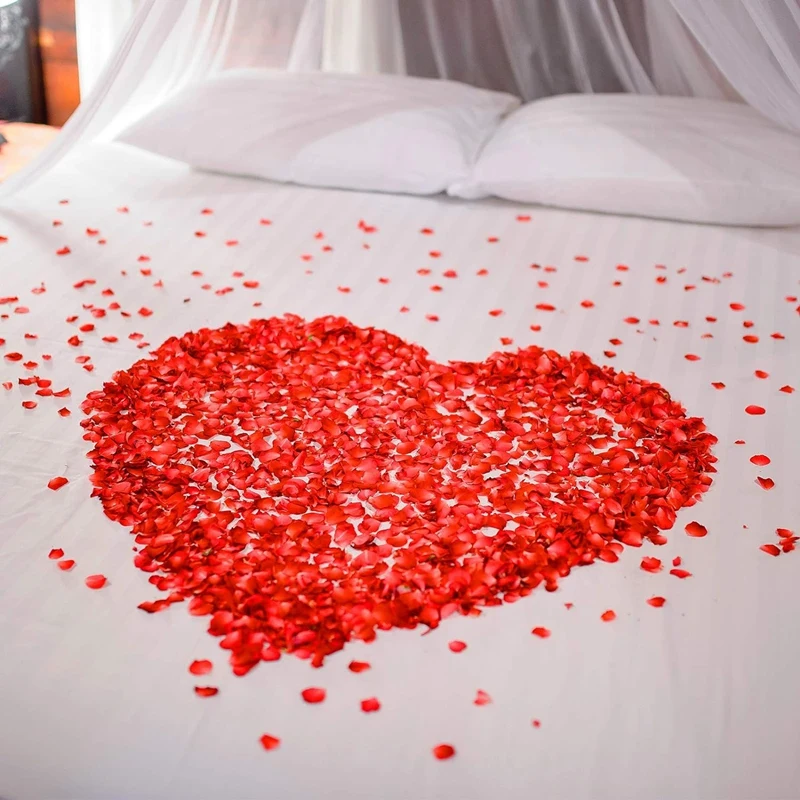 3000PCS Rose Petals,Fake Flower,Rose Petals For Bed & Valentines Decorations,Marry Me Decorations,Artificial Rose Petals