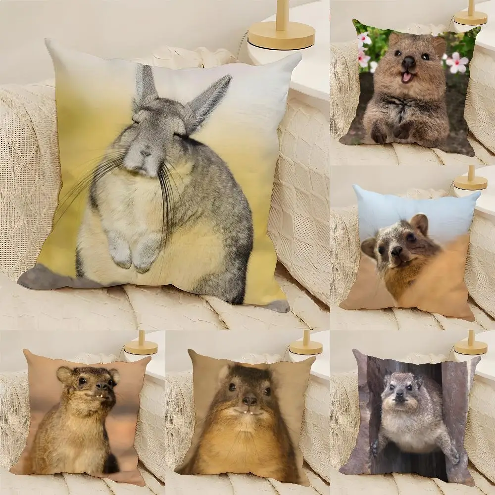 

Наволочка с милым аниме-персонажем в виде дикого гиппопотама, из натурального льна, с двусторонней печатью, для дивана, домашнего декора, чехол для подушки