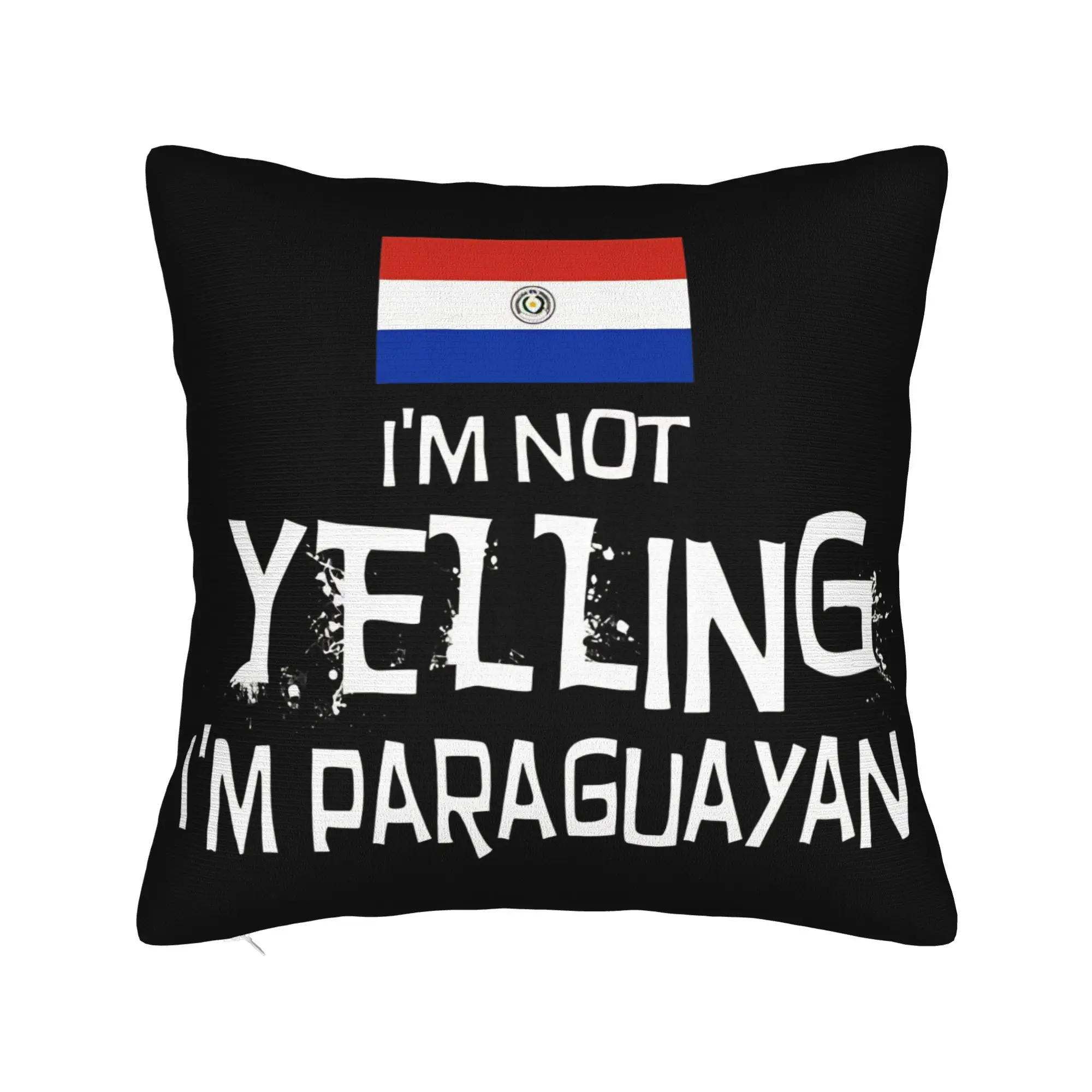 Paraguay Flag Pillow Covers Accessories Soft Cushion Cover Decorative  Throw Pillow Case Cover Home Multi Size