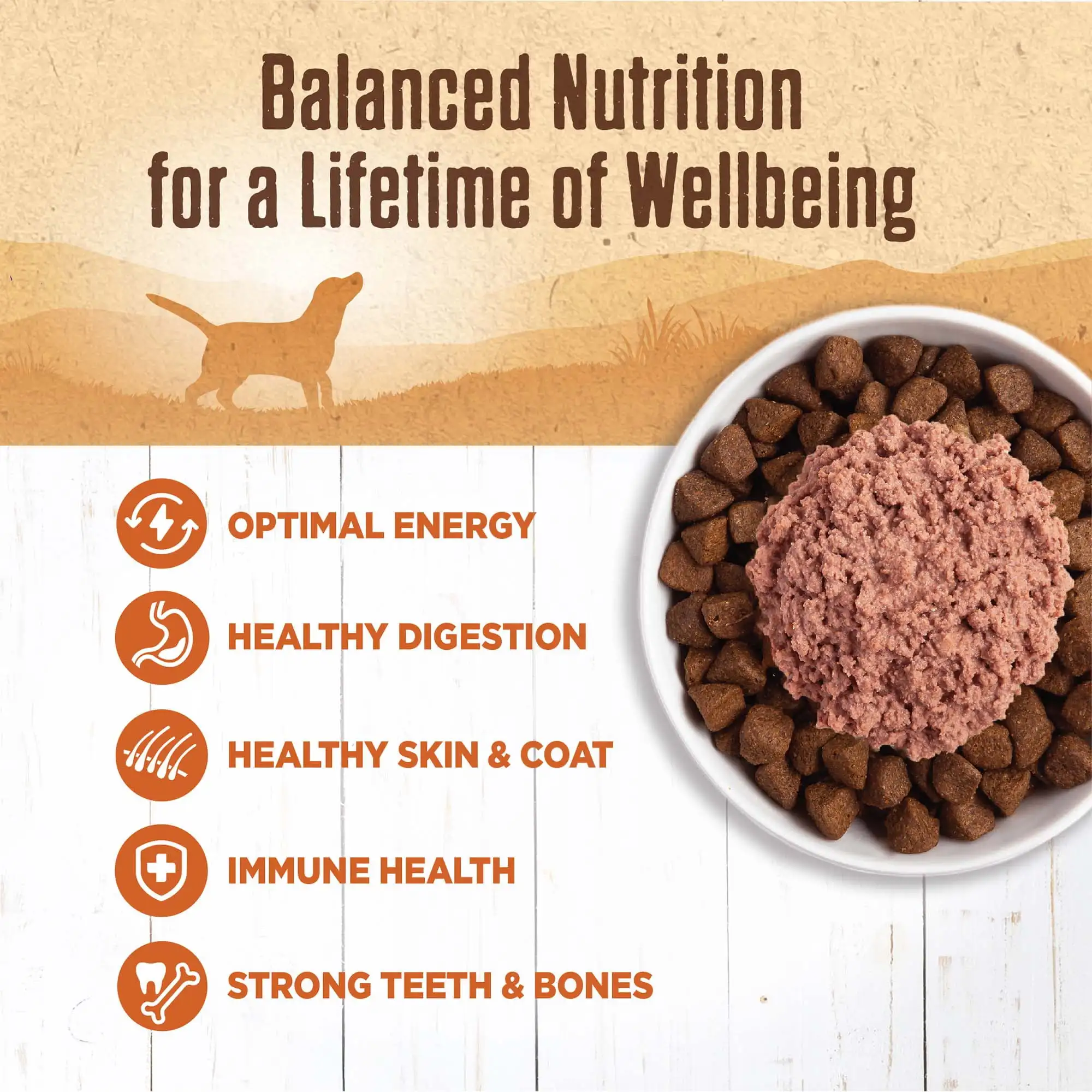 Wellness Cibo per cani in scatola naturale umido al 95% di tacchino, lattina da 13,2 once (confezione da 12)