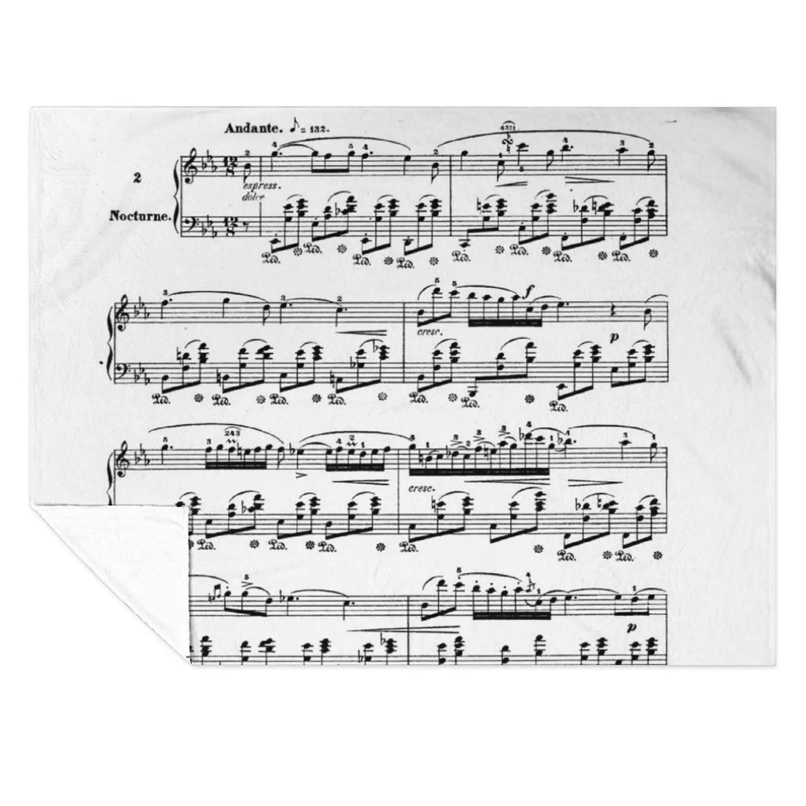 

Chopin Nocturne Throw Blanket Plush Blankets For Sofas Bed covers Blankets