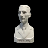 Nikola Tesla Physicist Model Plaster Sculpture Gypsum Ornaments Decor Home Aesthetics Bust Bookcase Desktop Decoration Crafts