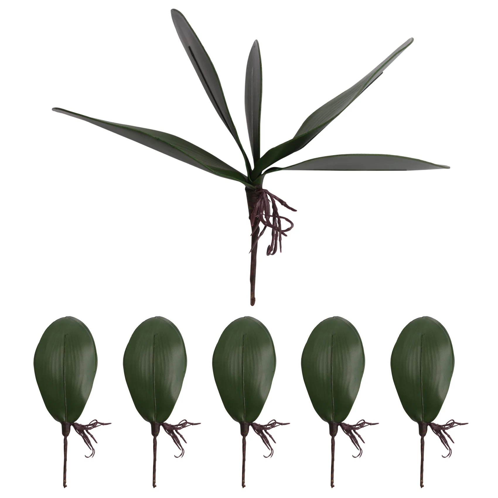 Le orchidee Phalaenopsis lasciano le radici artificiali dall'aspetto reale piante di contatto in lattice composizione di foglie finte verdi, 6 pezzi