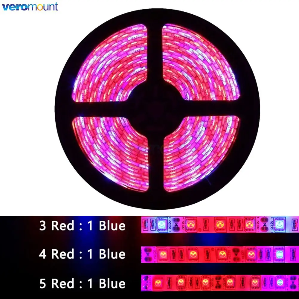 Lampu Phyto LED spektrum penuh, 5m 12V lampu Strip LED 300 LED 5050 CIP LED Fitolampy lampu tumbuh untuk rumah kaca tanaman hidroponik