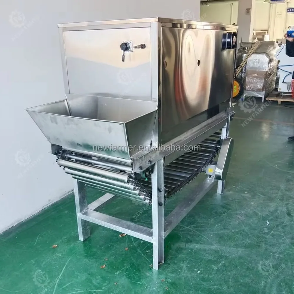 Professional Stainless Steel Onion Peeling Machine Energy Saving Commercial Onion Peeler for Large Scale Food